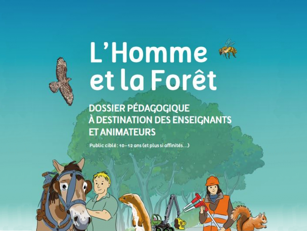 Dossier pédagogique thématique  L’Homme et la Forêt namur