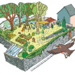 Jardin animation Empreintes asbl namur nature en ville