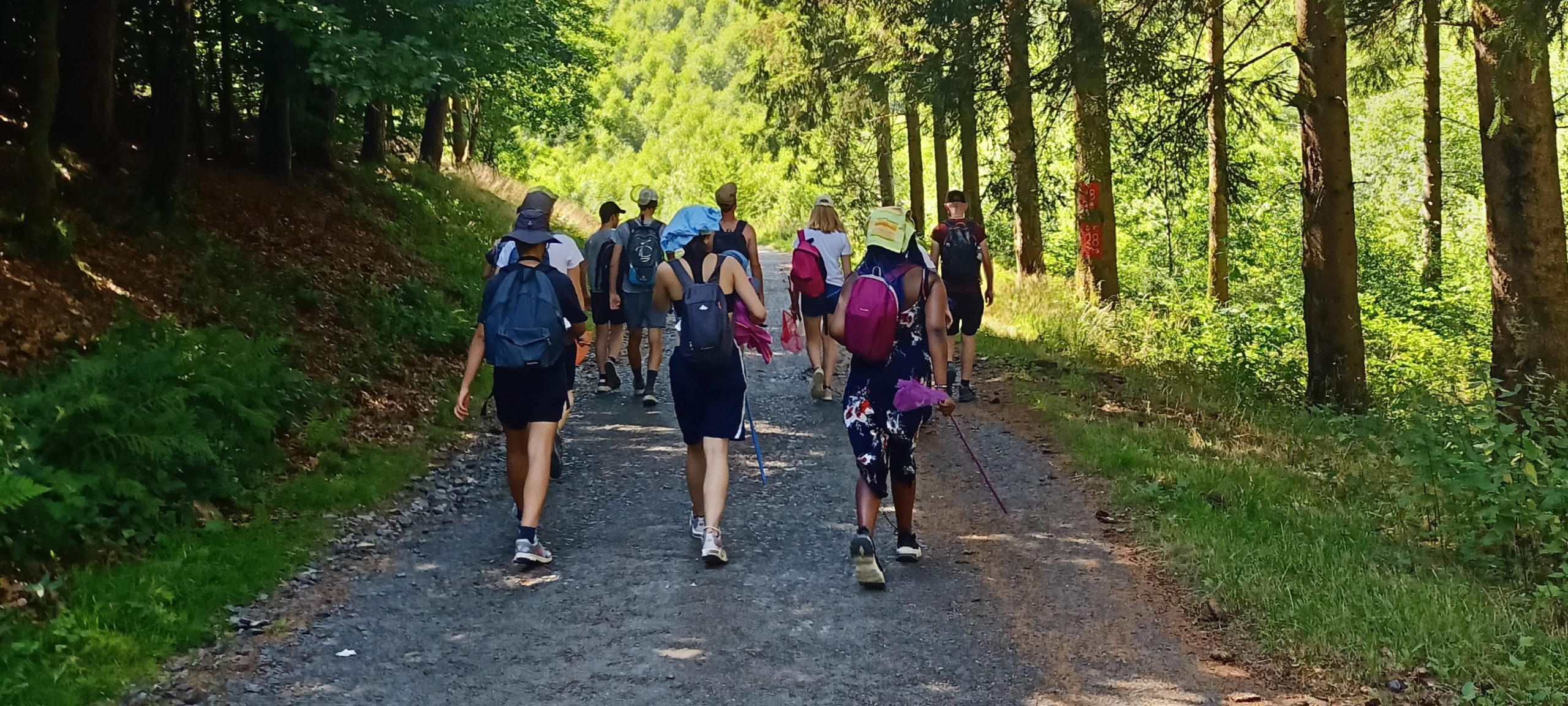 Camp nature jeunes 14-18 ans