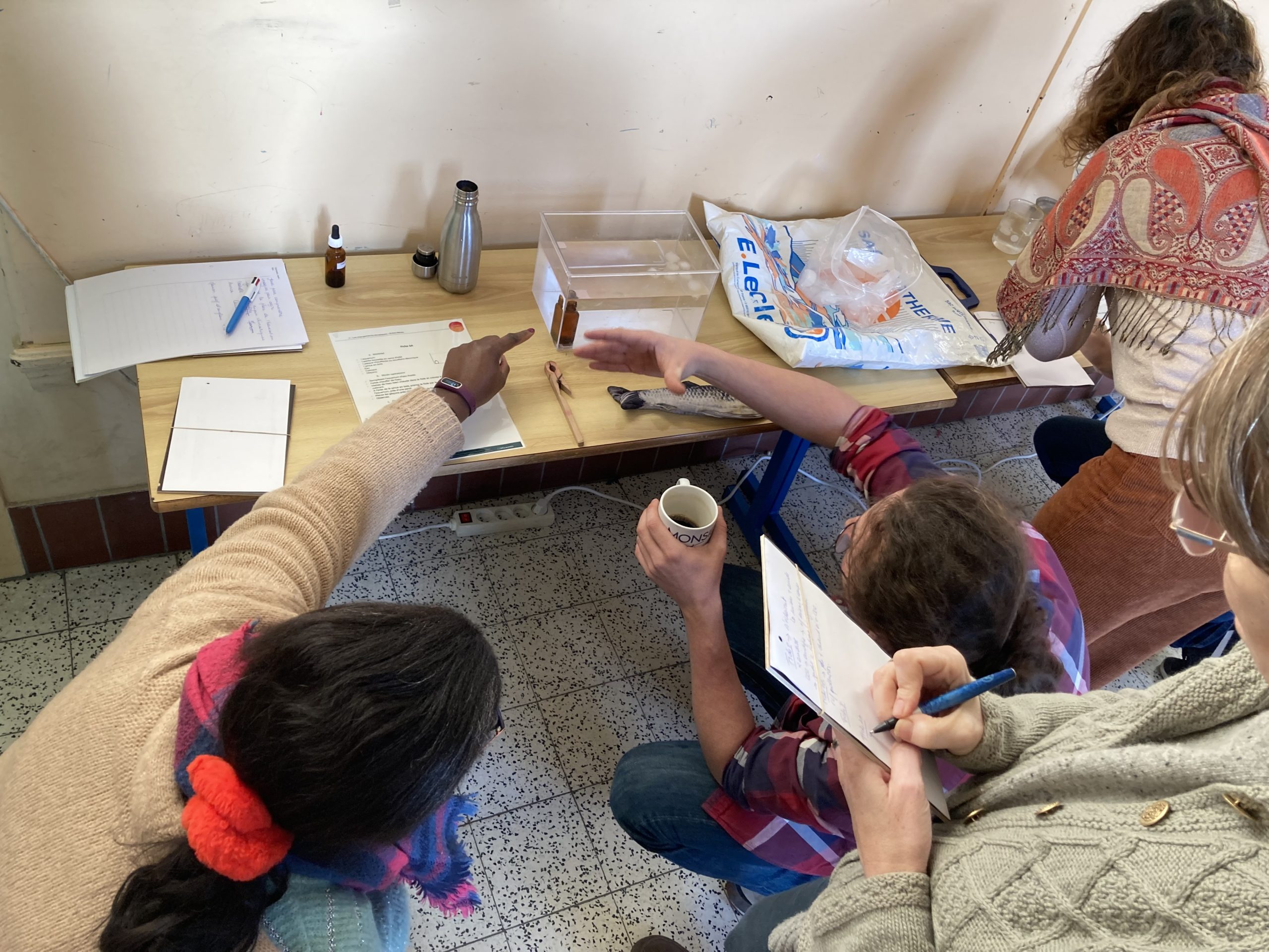 Photo formation Empreintes 